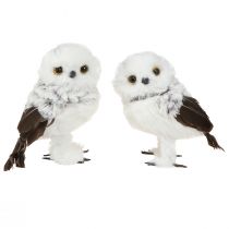 Produkt Sowa śnieżna Figurka dekoracyjna Para sów Biały Brązowy W12cm 4 szt