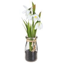 Produkt Przebiśniegi sztuczne w szkle kwiaty sztuczne białe 22,5cm 2szt