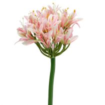 Kwiat jedwabiu agapant różowy 80cm