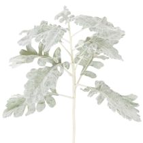 Produkt Sztuczna gałązka starzec, liść srebrny, misternie wykonana, 45 cm, 3 sztuki
