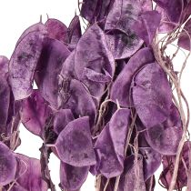 Produkt Suszony liść srebrny Lunaria księżycowy fioletowy 65-70cm 20g