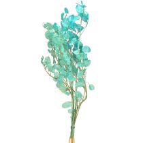 Produkt Suszony liść srebrny Lunaria jasnoniebieski 65-70cm 20g
