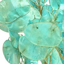 Produkt Suszony liść srebrny Lunaria jasnoniebieski 65-70cm 20g