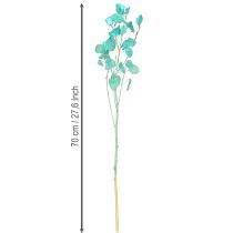 Produkt Suszony liść srebrny Lunaria jasnoniebieski 65-70cm 20g