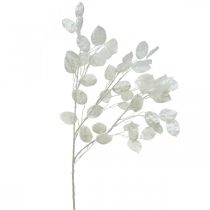 Produkt Deco Branch Silver Leaf White Lunaria Branch Artificial Branch 70cm