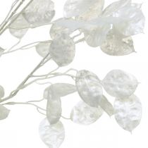 Deco Branch Silver Leaf White Lunaria Branch Artificial Branch 70cm