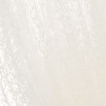 Produkt Suszone kwiaty, srebrzysta trawa. Elegancka, naturalna dekoracja do domu i biura. 70 cm, 10 sztuk.