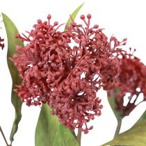 Produkt Skimmie Skimmia Japonica Sztuczne kwiaty Burgundowy DryLook L59cm