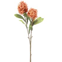 Produkt Skimmie Skimmia Japonica Sztuczne kwiaty Pomarańczowy DryLook L59cm