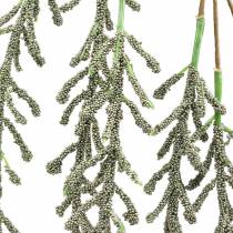 Produkt Succulent Vine Wiszący Zielony Brązowy Metaliczny 114cm