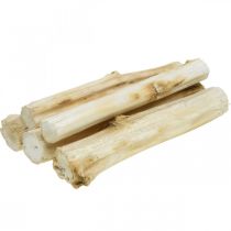Produkt Łodyga słonecznika 20cm biała 12 szt