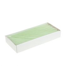 Produkt Świece stożkowe jednokolorowe limonkowo-zielone 21×240mm 12 szt