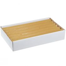 Produkt Świece stożkowe świece jednobarwne miodowe 21×240mm 12 szt