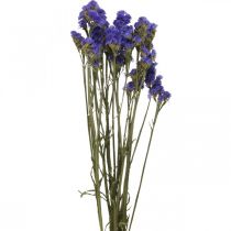 Bukiet Lawendy Morskiej, Suszone Kwiaty, Lawenda Morska, Statice Tatarica Blue L46–57cm 23g