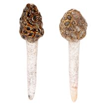 Produkt Sztuczny smardz ozdobny do doniczek i stołu, 13 cm, 2 sztuki