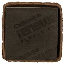 Produkt Gąbka florystyczna 1/2 kostki OASIS® Renewal® Biolit® 12 cm 2 szt.