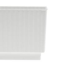 Kostki plug-in do pianki plug-in 6,5cm białe 20szt