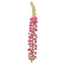Produkt Pikowana świeca Desert Tail Pink 106cm