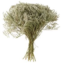 Produkt Suszone kwiaty lawendy plażowej Statice 2kg naturalna dekoracja