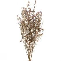 Produkt Plaża Liliowy Limonium Suszone Kwiaty Fioletowe 70cm 50g