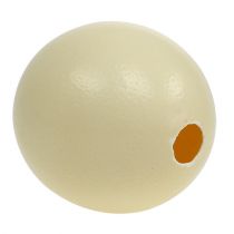 Produkt Jajo strusie, naturalne, wydmuszkowe, puste, ozdobne