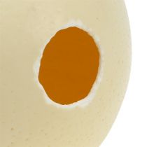 Produkt Jajo strusie, naturalne, wydmuszkowe, puste, ozdobne