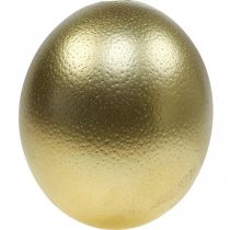 Dekoracja dmuchanego jajka strusiego Dekoracja wielkanocna złota Ø12cm W14cm