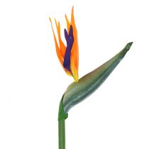 Strelitzie Bird of Paradise Flower sztuczny 98cm