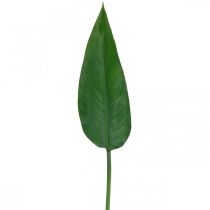 Strelicja Kwiat Papugi Liść Dekoracyjny Liść Strelicji Zielony L81cm
