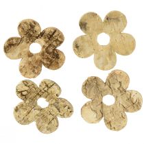 Produkt Dekoracja rozproszona kora drewna kwiaty brzoza vintage Ø5cm 36 szt