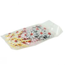 Produkt Dekoracja rozproszona biedronka kwiat drewno filc kolor Ø4cm 48 szt