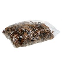 Produkt Szyszki strobusowe 10-15cm malowane 100 sztuk