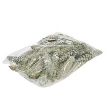 Produkt Szyszki Strobus dekoracja jabłkowo zielone bielone myte 15-20cm 50 szt