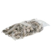 Produkt Szyszki strobusowe 15cm - 20cm białe myte 50 szt