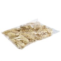 Produkt Strobus bielony 15cm-20cm 50 szt