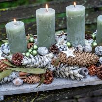 Produkt Szyszki strobusowe jako naturalna dekoracja 15cm - 20cm zielone 50 szt