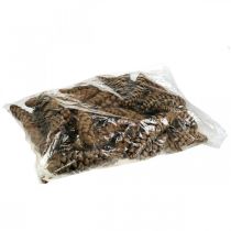 Produkt Szyszki Sosna Biała Strobus Natural Mieszany 2,5kg