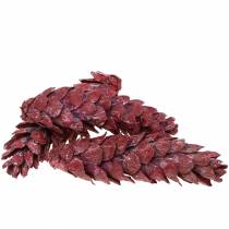 Produkt Szyszki strobusowe dekoracja naturalna czerwone 15cm - 20cm 50 szt