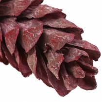 Produkt Szyszki strobusowe dekoracja naturalna czerwone 15cm - 20cm 50 szt