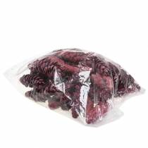 Produkt Szyszki Strobus dekoracja czerwony biały myty 15-20cm 50 szt