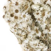Suszone Kwiaty Truskawki Bukiet Biały Mały 15g