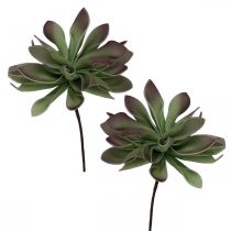 Soczysta zieleń, bordowy 10cm 12szt