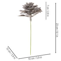 Produkt Sztuczne kwiaty woskowe sukulenty, dekoracja 10cm, 6 szt.