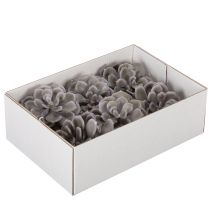 Produkt Sztuczne kwiaty woskowe sukulenty, dekoracja 10cm, 6 szt.