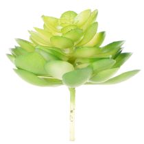 Produkt Sztuczna roślina sukulent, zielona, do dekoracji w misce lub wazonie, 10 cm, 4 sztuki