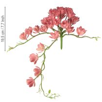 Produkt Sztuczny sukulent 28 rozet Aeonium staroróżowy 43cm