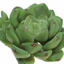 Sukulent Echeveria sztuczny Zielony W15cm