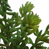Soczysta sztuczna zielona roślina do przyklejenia 25 cm zielona 2 szt.