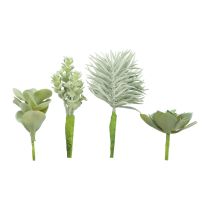Produkt Sukulenty Sztuczna roślina zielona, różne 9-18,5 cm 4szt