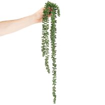 Produkt Sztuczna roślina wisząca girlanda, dekoracja salonu, sukulenty